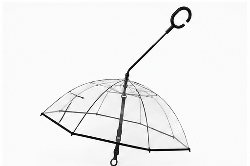 Dog Umbrella