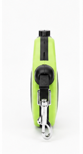 Classic dog leash