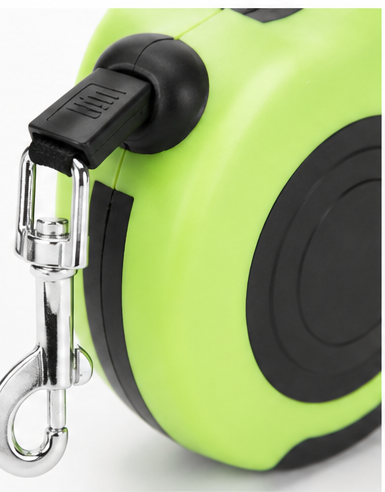 Classic dog leash