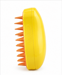 Steam pet brush