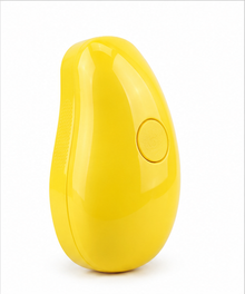 Steam pet brush