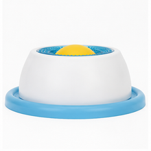 Pet licking bowl