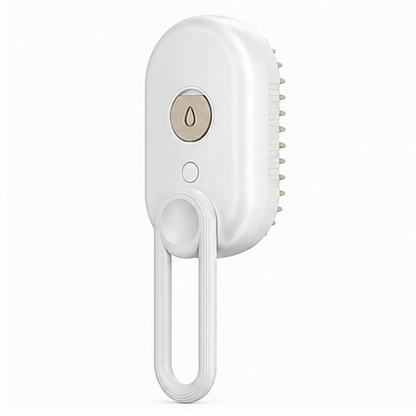Electric pet steam brush