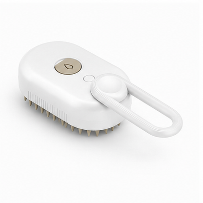 Electric pet steam brush