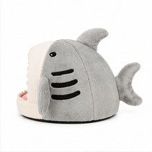 Shark bed